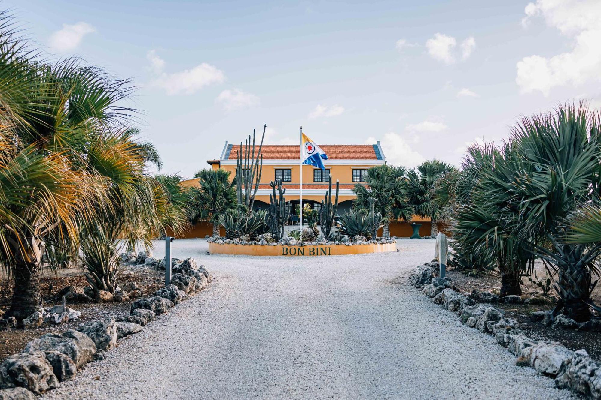 Boutique Hotel Wanapa - Adult Friendly - 14 Years And Older Playa Exteriör bild